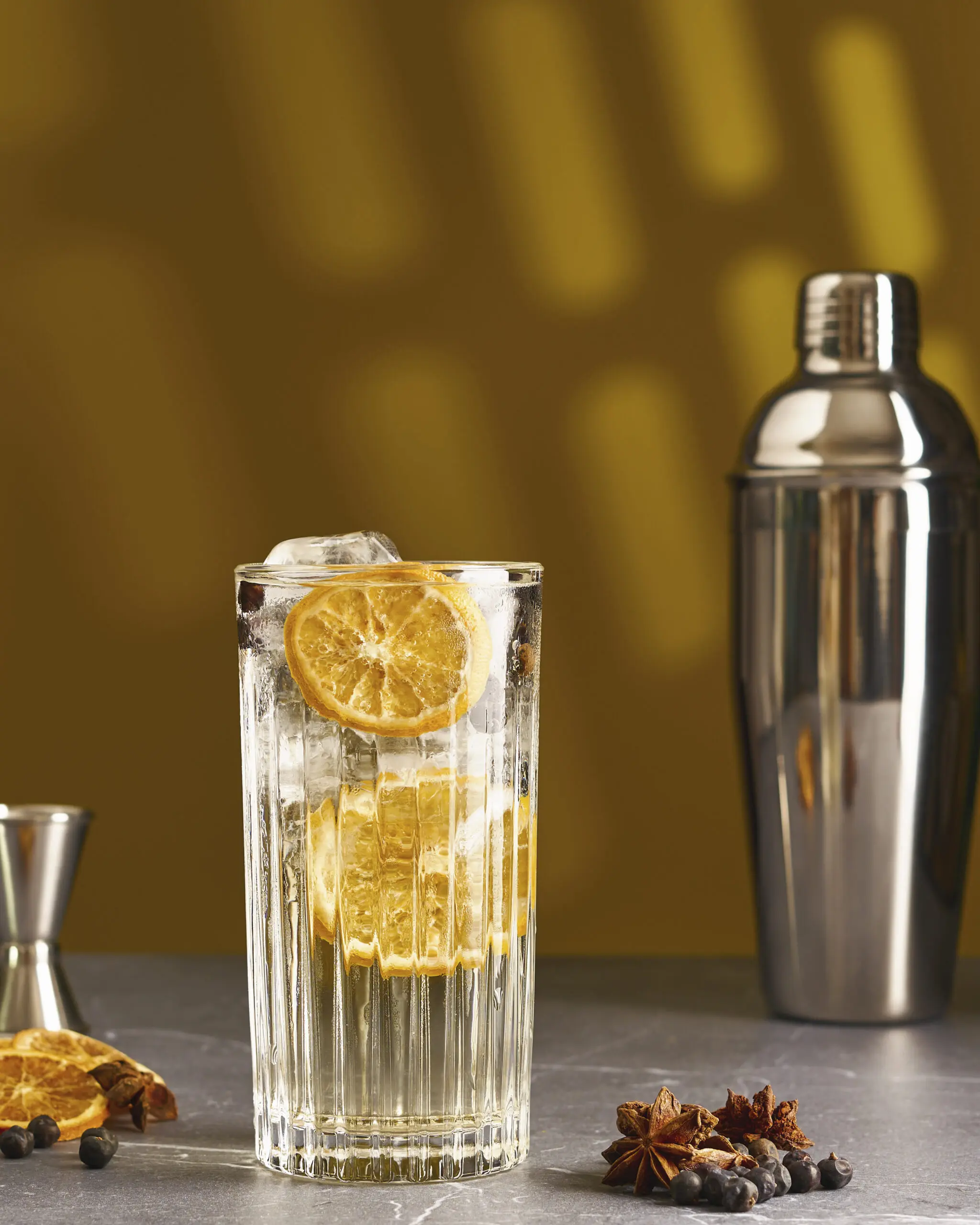 Cocktail con limone essiccato, ghiaccio e spezie